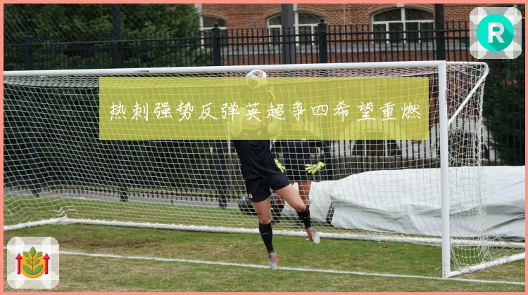 热刺强势反弹英超争四希望重燃