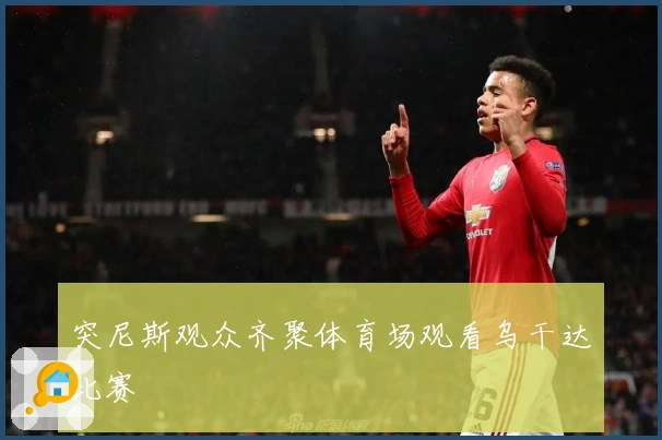 突尼斯观众齐聚体育场观看乌干达比赛