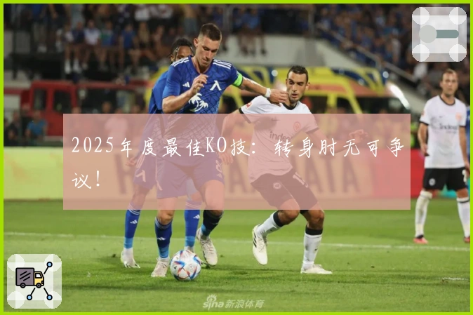 2025年度最佳KO技：转身肘无可争议！